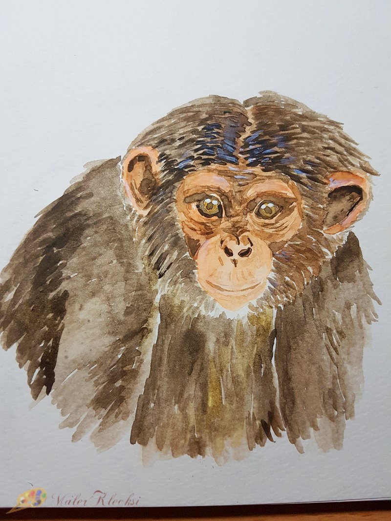 Tier-ABC-Affe-grundiert