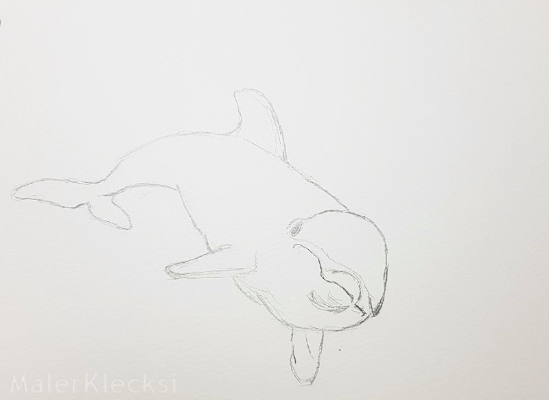 Tier-ABC Delfin Skizze