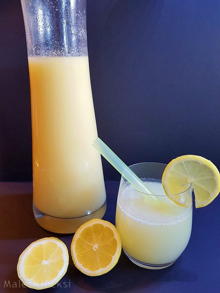 Fruchtig-herbe Ingwer-Zitronen-Limonade - MalerKlecksi