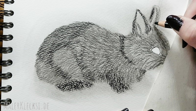 Hobbymaler Mitmach-Aktion das Tier-ABC. H- Hase ist dran. Kohlezeichnung. Für jeden zum Mitmachen.