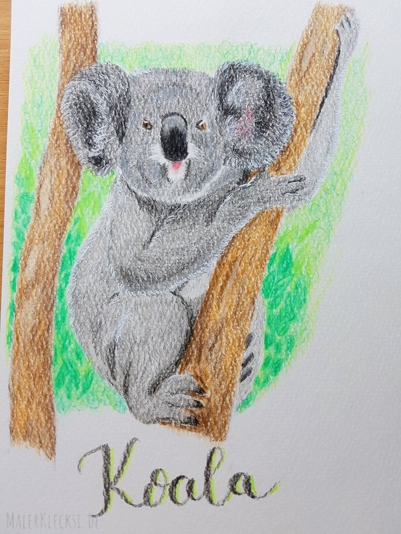 Meine Mitmach-Aktion-Tier-ABC für alle Hobbymaler geht in die nächste Runde, das K ist an der Reihe, der Koala.